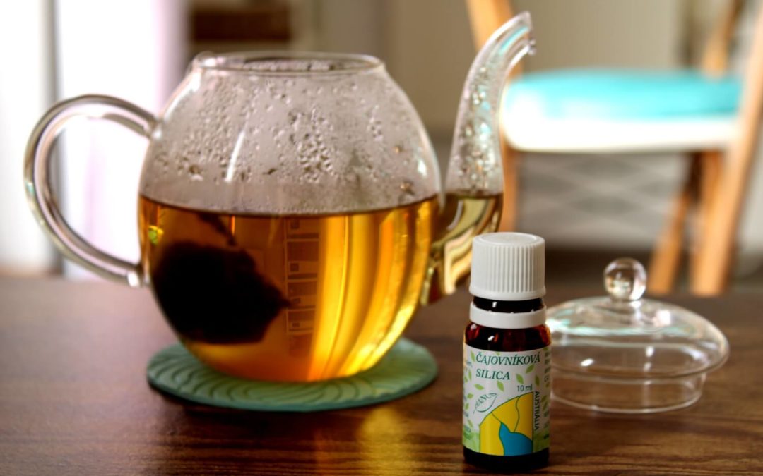 Tea tree olej proti baktériám, vírusom a plesniam – účinky a použitie